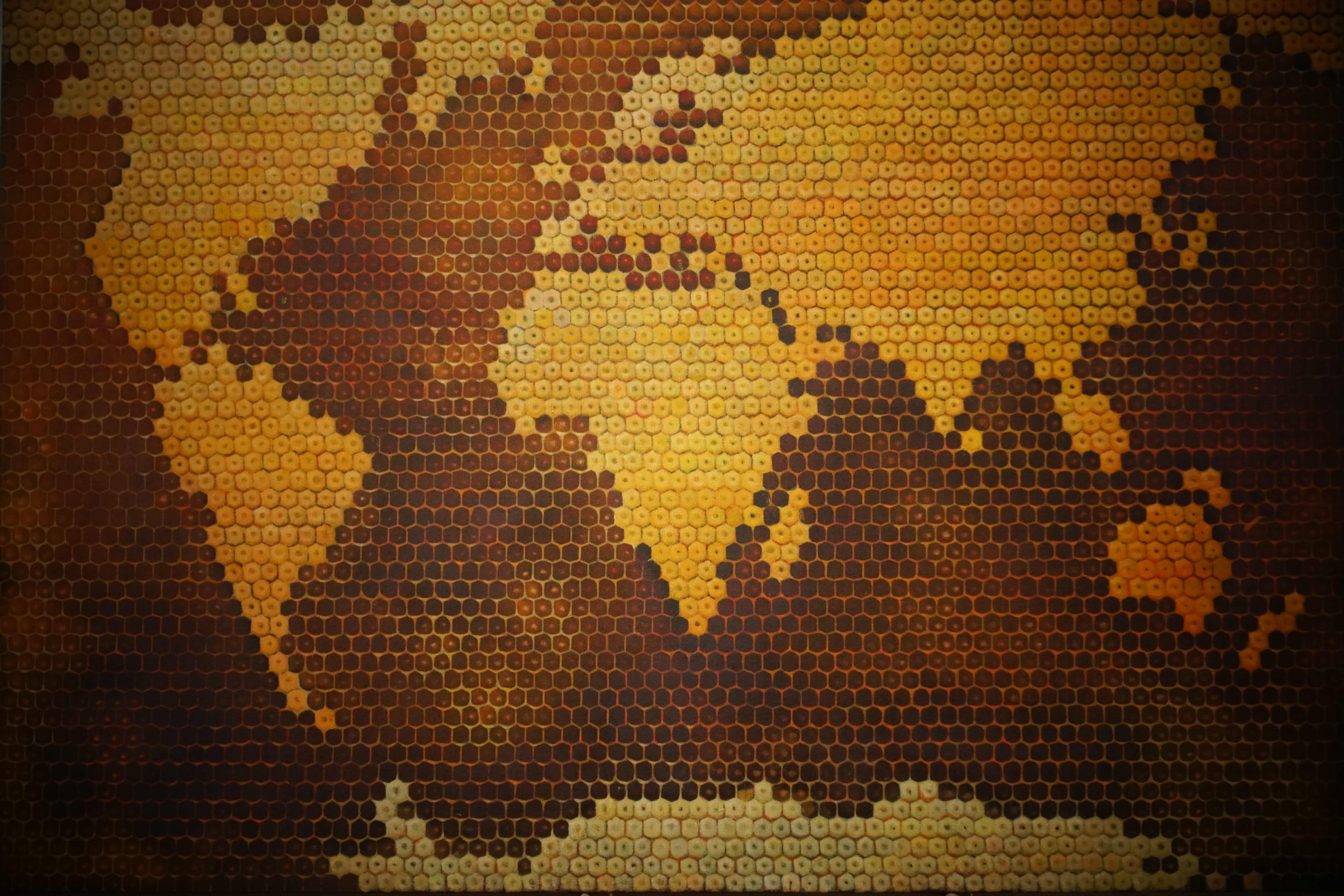 Viso pasaulio bitės darbininkės vienykitės 2017 100×150 al.,drb.